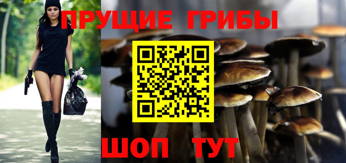 Галлюциногенные грибы Magic Shrooms  Вход с VPN  Галлюциногенные грибы GOLDEN TEACHER  Бахчисарай 